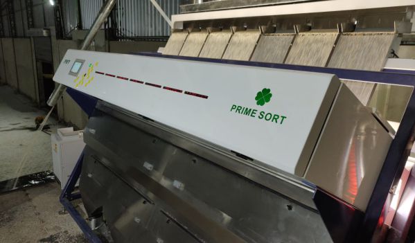 primesort.in